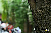 IMG_66111.jpg