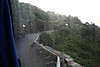 IMG_8254.JPG