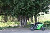 IMG_8388.JPG