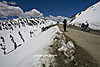 MG_0677_copy.jpg