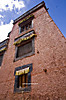 MG_0694_copy.jpg