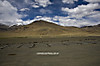 MG_0739_copy.jpg