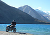 P1020450_copy.jpg