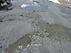 P1020570_copy.jpg