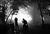 11_3641.jpg