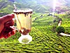 greentea.jpg