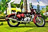 DSC0045_2_.jpg