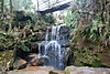 DSC_00803.JPG