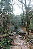 DSC_01171.JPG