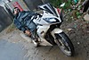 DSC_0303.JPG