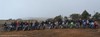DSC_00183.jpg