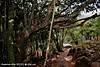 DSC_0100.jpg