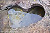 DSC_0106.jpg
