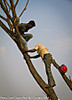 SG_110329_ChrisPfeifferCoimbatore_0096.jpg