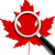 search icon