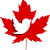 twitter logo