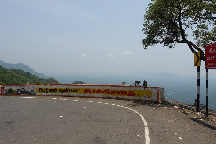 Click image for larger version  Name:	DSC01915.jpg Views:	0 Size:	62.7 KB ID:	2239236