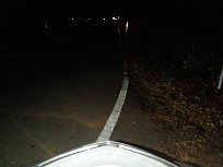 Click image for larger version

Name:	Kisbee50_Fern.jpg
Views:	94
Size:	81.5 KB
ID:	2240365