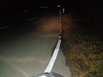 Click image for larger version

Name:	Kisbee50_Fern_Halogen35.jpg
Views:	94
Size:	89.1 KB
ID:	2240368