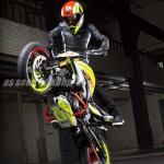 Chris Pfeiffer BMW/TVS Concept 310 Stunt Wheelie