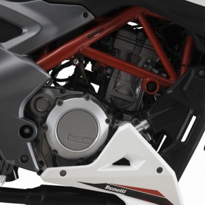 dsk benelli tnt 25 Launch 2