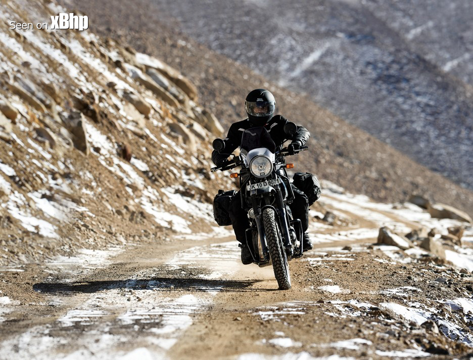 himalayan2