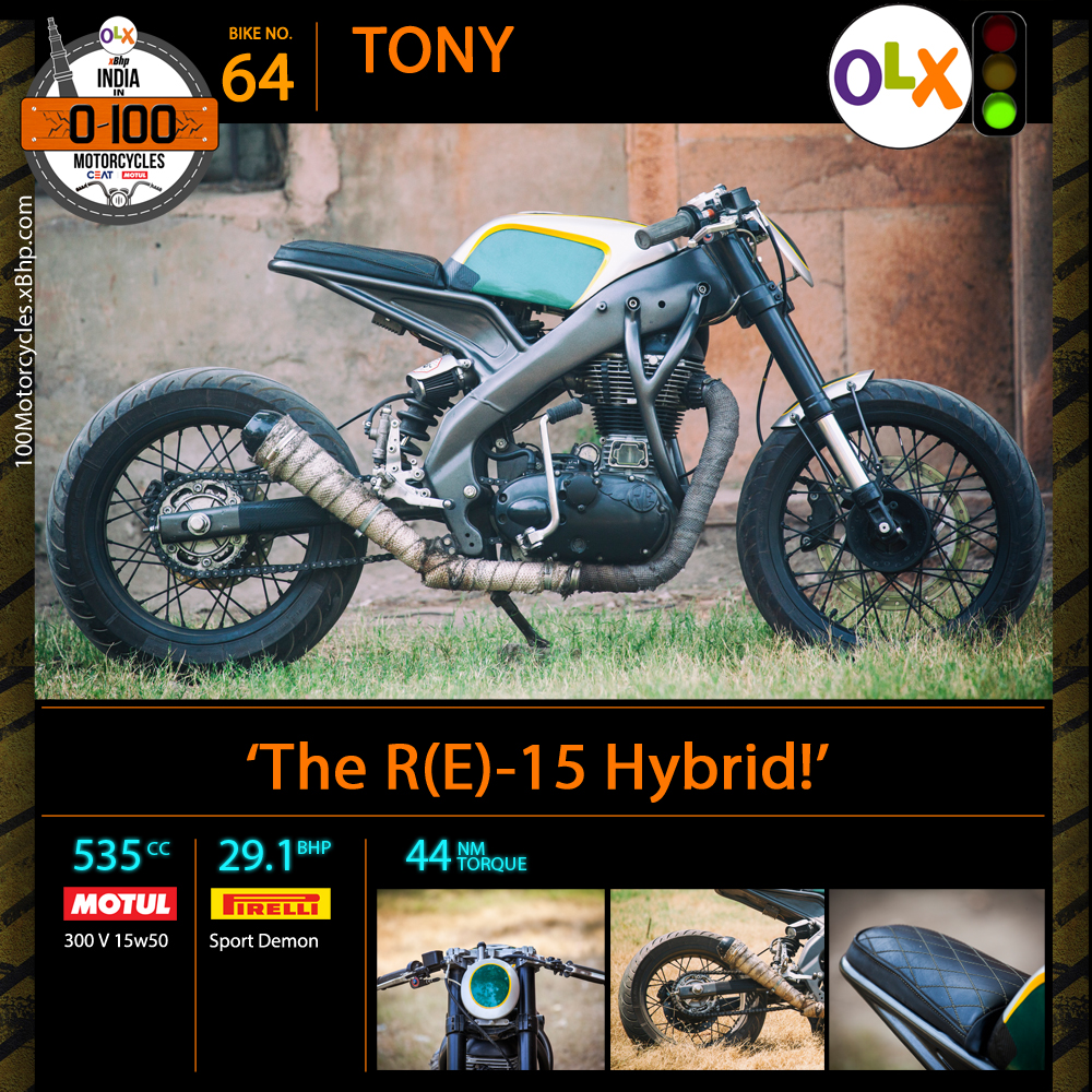 Tony (3)