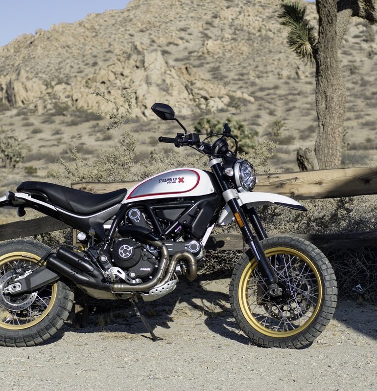 Ducati Scrambler Desert Sled and Cafe Racer!